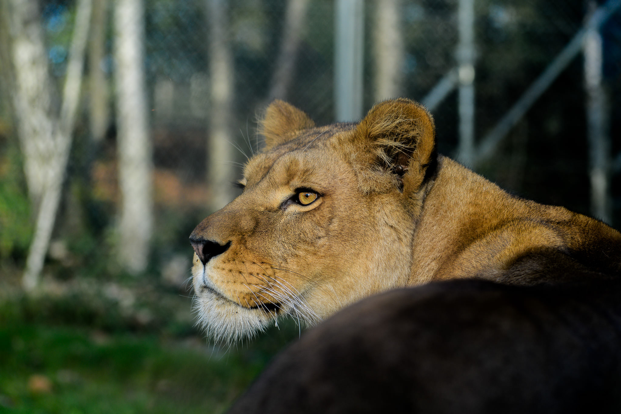 mitrografie@gmail.com